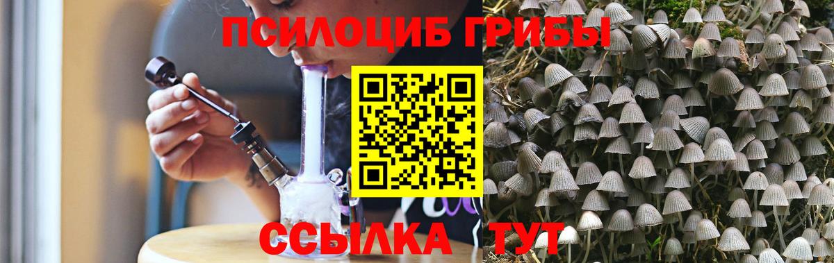 Азнакаево  Галлюциногенные грибы мухоморы  Галлюциногенные грибы Psilocybe  купить наркоту  Вход с VPN 