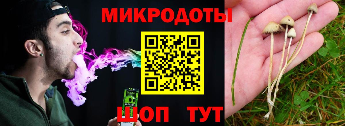 Псилоцибиновые грибы Magic Shrooms Азнакаево